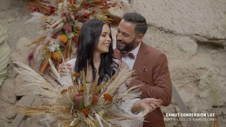 Gamut 索尼S-Log3/S-Log2色彩还原LUT调色预设 Sony Conversions for SLog3 & SLog2 插件预设 第2张-素材湾丨精选海外优质设计素材资源 Gamut 索尼S-Log3/S-Log2色彩还原LUT调色预设 Sony Conversions for SLog3 & SLog2 插件预设 sucaiwan.com