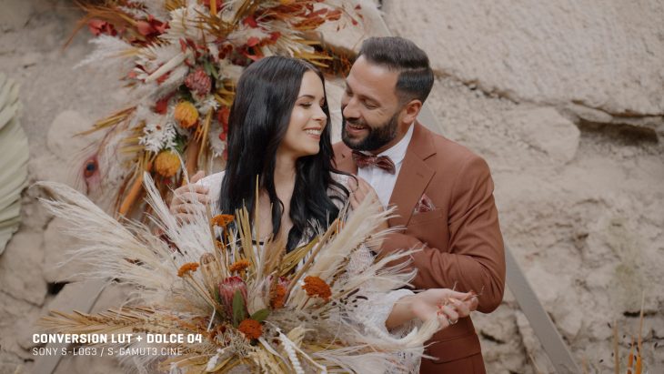 Gamut 索尼S-Log3/S-Log2色彩还原LUT调色预设 Sony Conversions for SLog3 & SLog2 插件预设 第3张-素材湾丨精选海外优质设计素材资源 Gamut 索尼S-Log3/S-Log2色彩还原LUT调色预设 Sony Conversions for SLog3 & SLog2 插件预设 sucaiwan.com