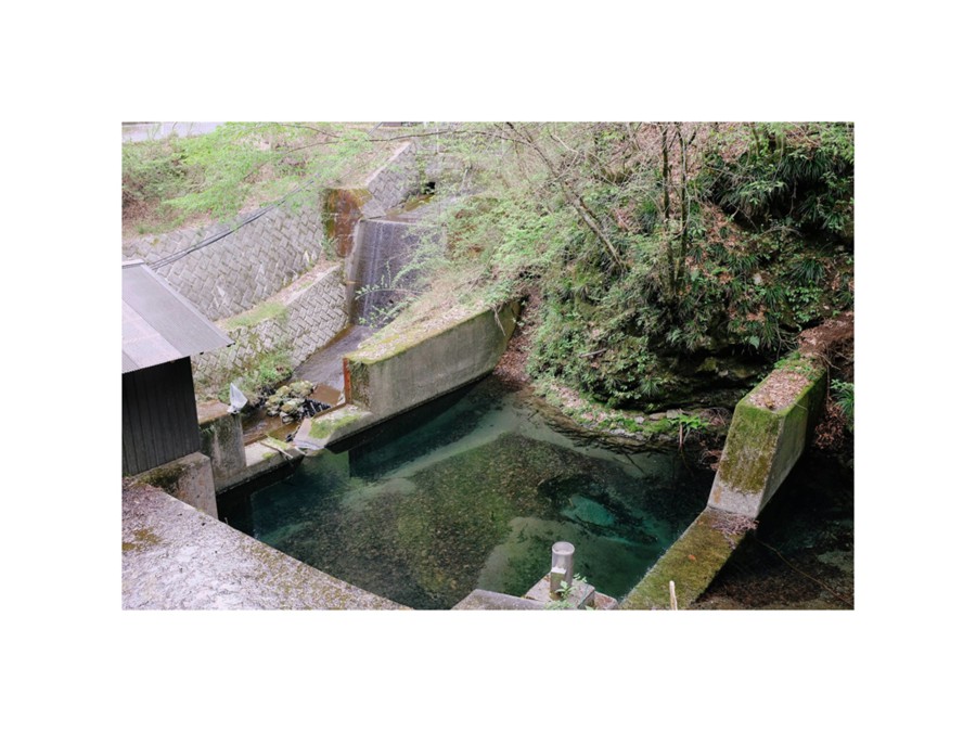 专业富士Fuji Pro 400H胶片模拟彩色负片风景照片调色Lightroom预设 Fuji Pro 400H Presets for Lightroom 插件预设 第3张-素材湾丨精选海外优质设计素材资源 专业富士Fuji Pro 400H胶片模拟彩色负片风景照片调色Lightroom预设 Fuji Pro 400H Presets for Lightroom 插件预设 sucaiwan.com