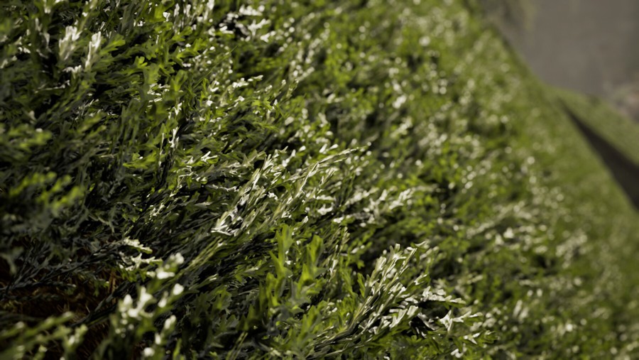 Artstation UE5破旧废弃火车场景植物树木自然环境制作视频教程 中文字幕 Unreal Complete Scene – Abandoned Train 样机素材 第3张-素材湾丨精选海外优质设计素材资源 Artstation UE5破旧废弃火车场景植物树木自然环境制作视频教程 中文字幕 Unreal Complete Scene – Abandoned Train 样机素材 sucaiwan.com