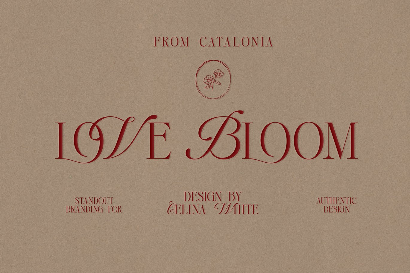 现代优雅品牌杂志标题婚礼设计衬线英文字体安装包 Aricena Elegant Serif Font 设计素材 第13张-素材湾丨精选海外优质设计素材资源 现代优雅品牌杂志标题婚礼设计衬线英文字体安装包 Aricena Elegant Serif Font 设计素材 sucaiwan.com