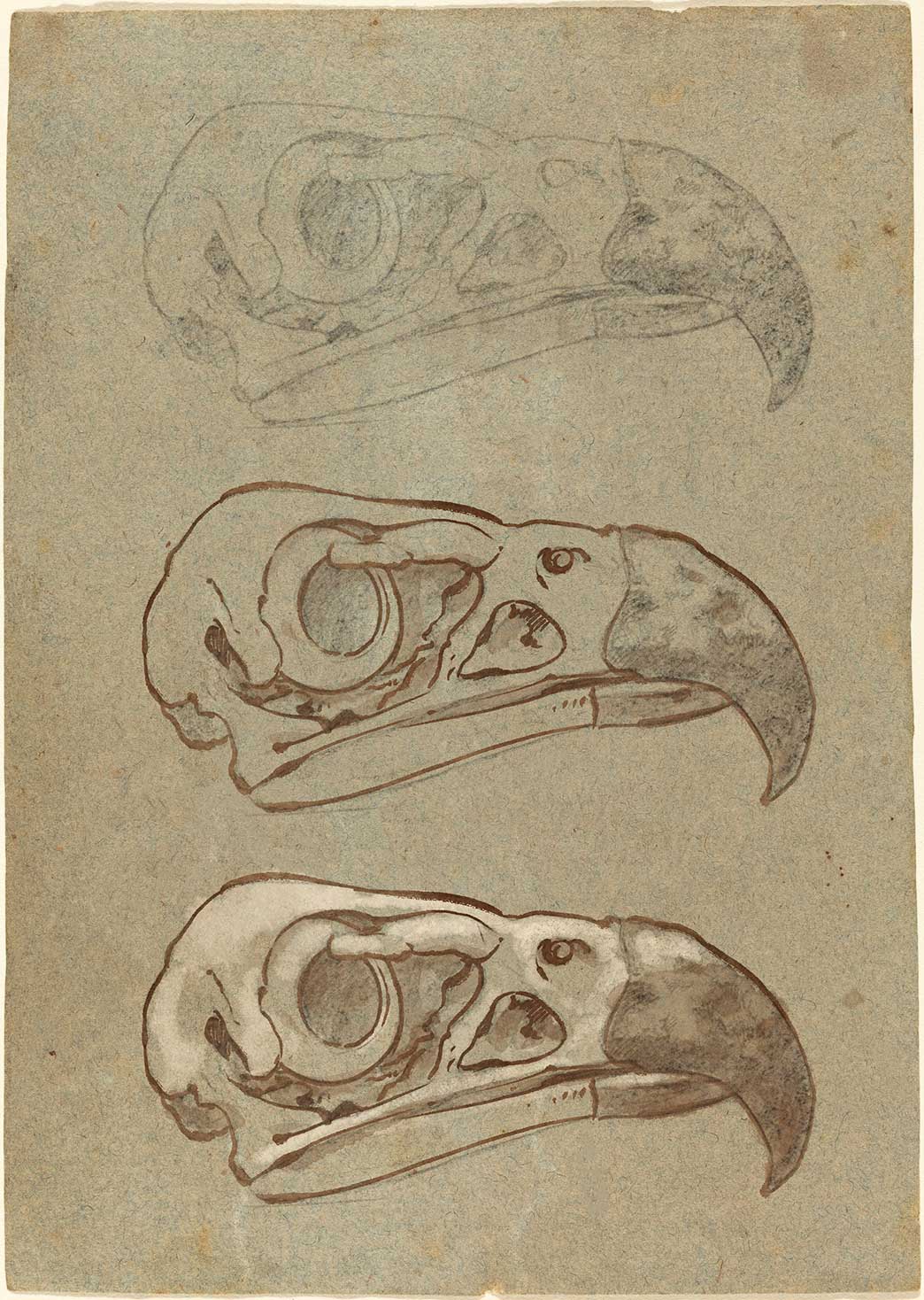 复古米开朗基罗绘画风格羽毛墨水粉笔铅笔PS/CSP/Artstudio/Procreate笔刷+纸张图片套装 Real-ink™ Michelangelo Mega Pack 笔刷资源 第2张-素材湾丨精选海外优质设计素材资源 复古米开朗基罗绘画风格羽毛墨水粉笔铅笔PS/CSP/Artstudio/Procreate笔刷+纸张图片套装 Real-ink™ Michelangelo Mega Pack 笔刷资源 sucaiwan.com