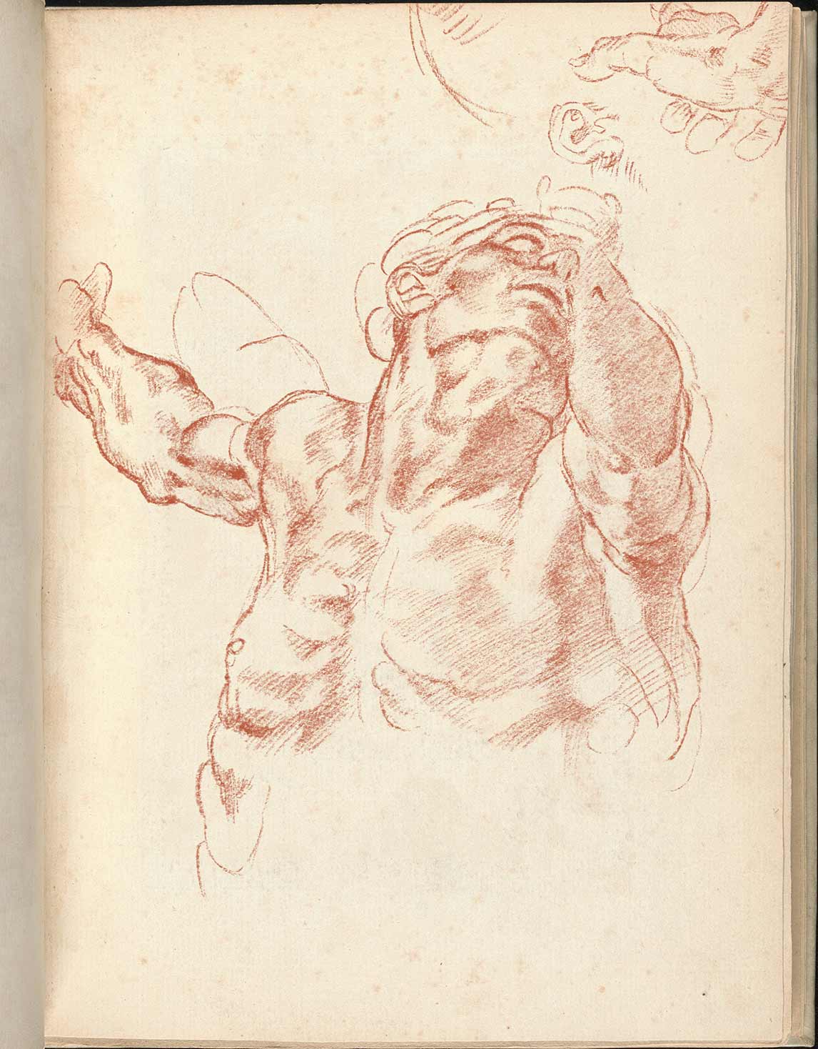 复古米开朗基罗绘画风格羽毛墨水粉笔铅笔PS/CSP/Artstudio/Procreate笔刷+纸张图片套装 Real-ink™ Michelangelo Mega Pack 笔刷资源 第7张-素材湾丨精选海外优质设计素材资源 复古米开朗基罗绘画风格羽毛墨水粉笔铅笔PS/CSP/Artstudio/Procreate笔刷+纸张图片套装 Real-ink™ Michelangelo Mega Pack 笔刷资源 sucaiwan.com