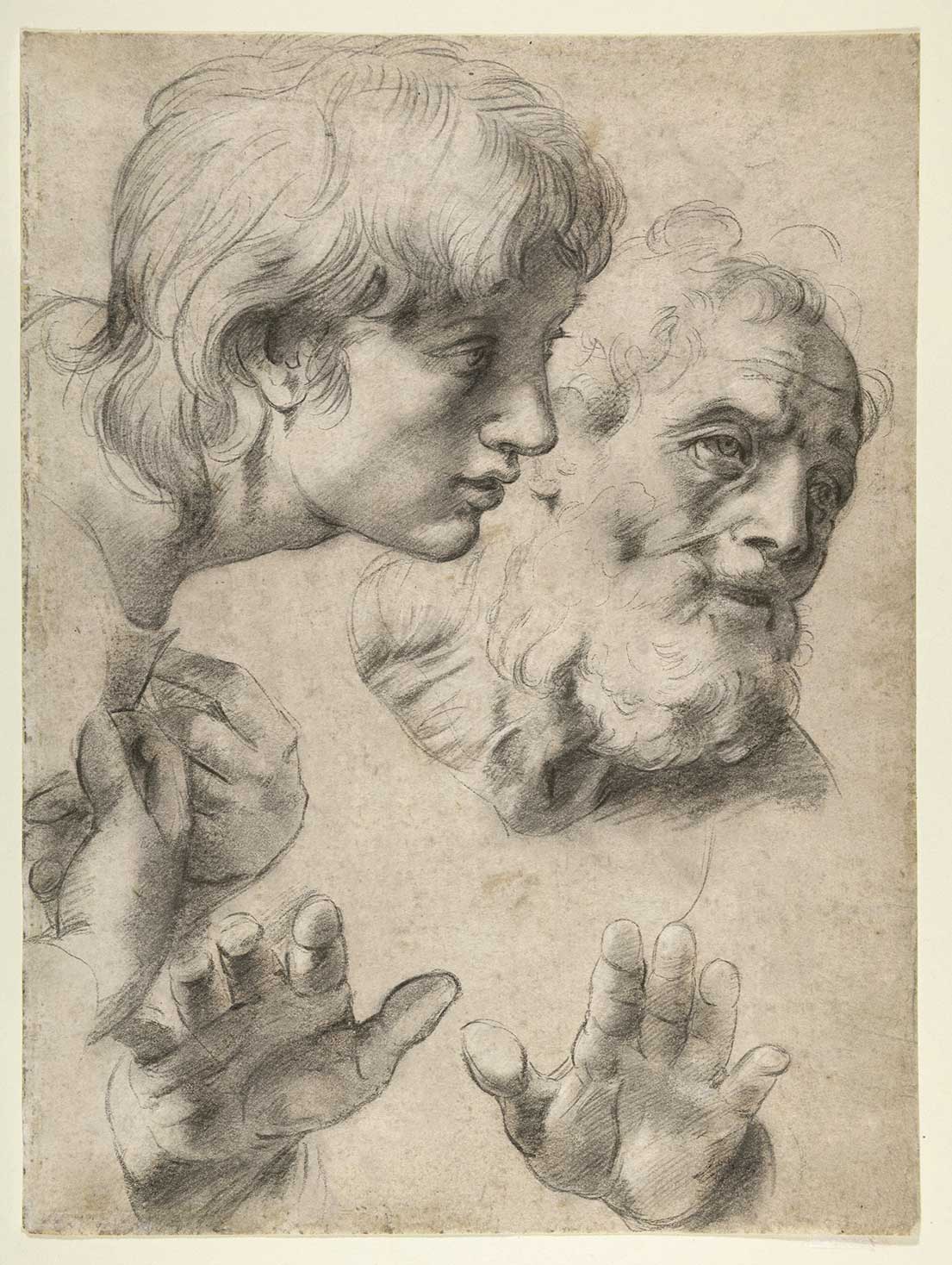 复古米开朗基罗绘画风格羽毛墨水粉笔铅笔PS/CSP/Artstudio/Procreate笔刷+纸张图片套装 Real-ink™ Michelangelo Mega Pack 笔刷资源 第8张-素材湾丨精选海外优质设计素材资源 复古米开朗基罗绘画风格羽毛墨水粉笔铅笔PS/CSP/Artstudio/Procreate笔刷+纸张图片套装 Real-ink™ Michelangelo Mega Pack 笔刷资源 sucaiwan.com