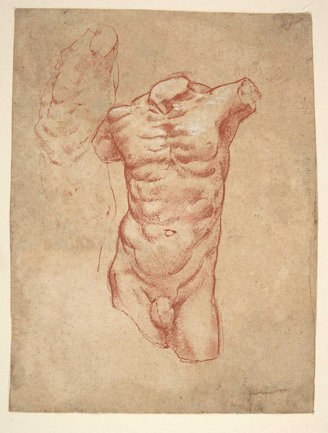 复古米开朗基罗绘画风格羽毛墨水粉笔铅笔PS/CSP/Artstudio/Procreate笔刷+纸张图片套装 Real-ink™ Michelangelo Mega Pack 笔刷资源 第9张-素材湾丨精选海外优质设计素材资源 复古米开朗基罗绘画风格羽毛墨水粉笔铅笔PS/CSP/Artstudio/Procreate笔刷+纸张图片套装 Real-ink™ Michelangelo Mega Pack 笔刷资源 sucaiwan.com