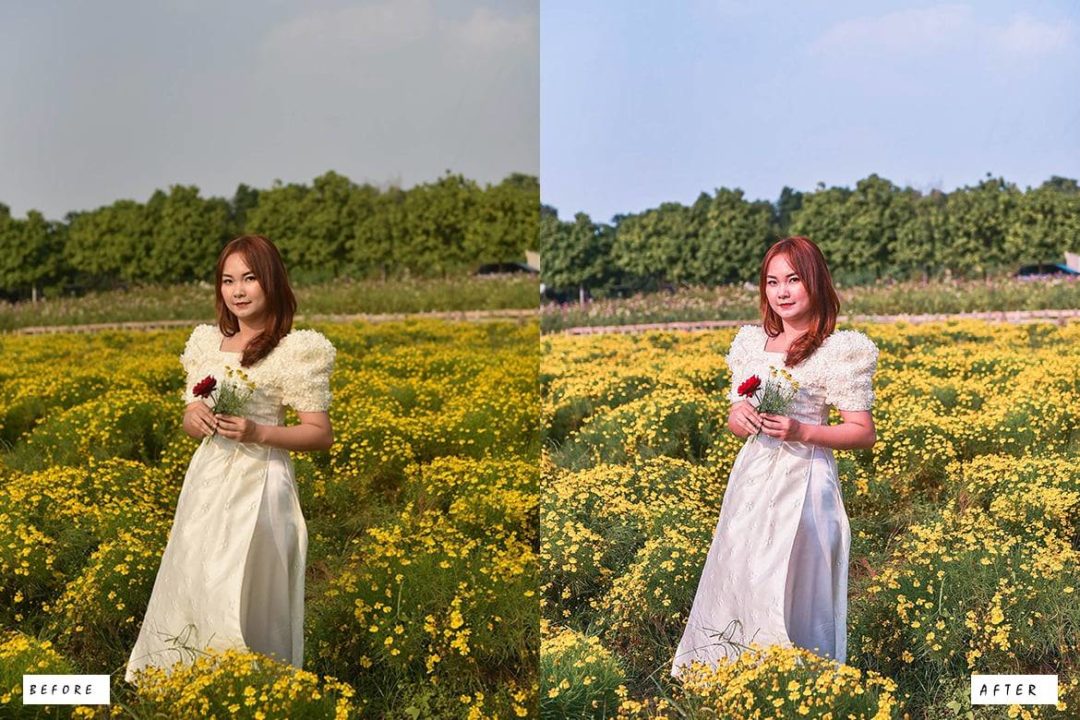 12组时尚复古电影博主婚礼照片调色Lightroom预设 12 Vogue Fashion Lightroom Presets 插件预设 sucaiwan.com