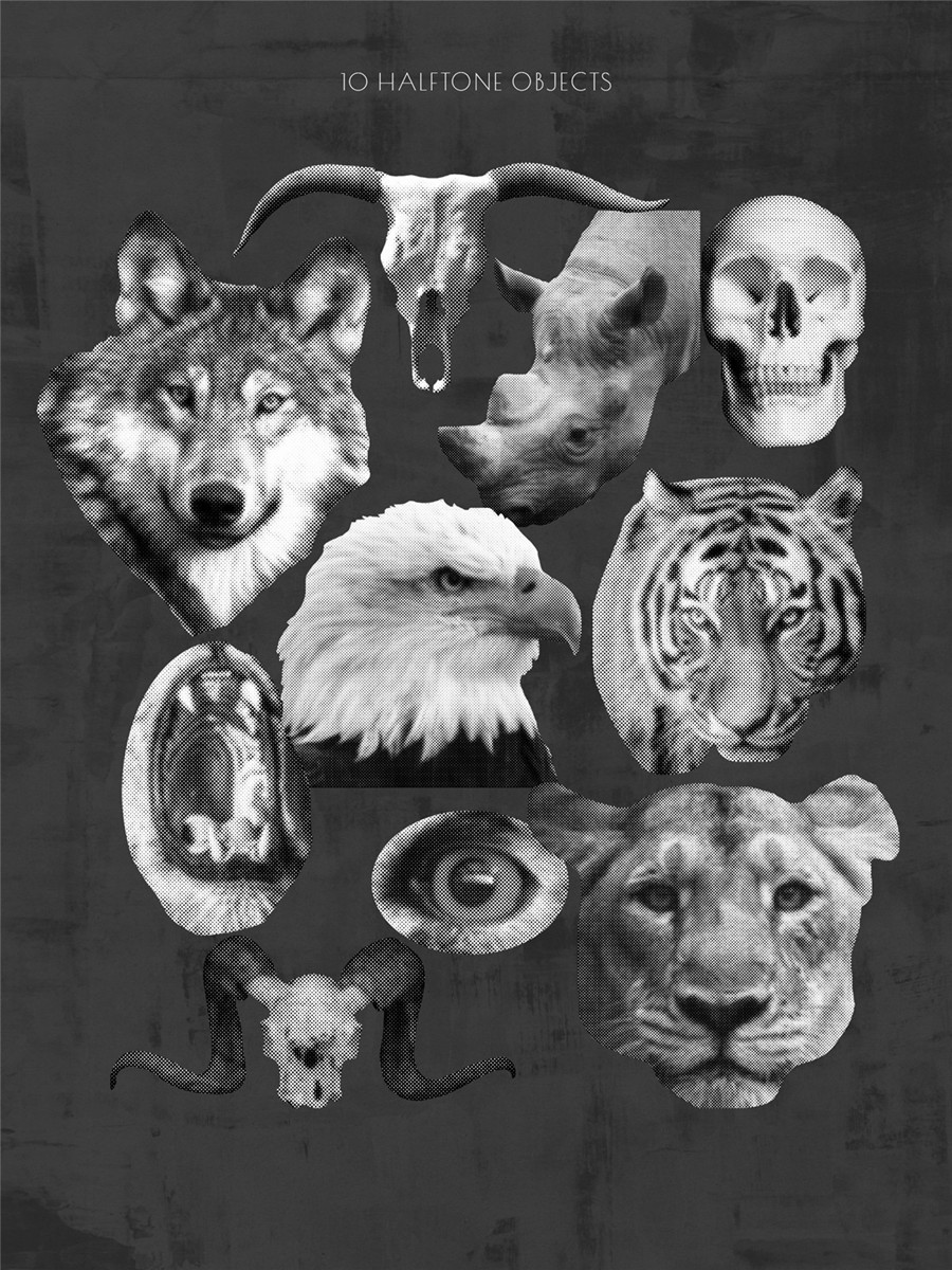 209款做旧粗糙涂鸦艺术单色女性动物纸片线条丙烯酸笔触纹理拼贴画PNG免抠图设计素材 Monochrome Collage Pack 图片素材 sucaiwan.com