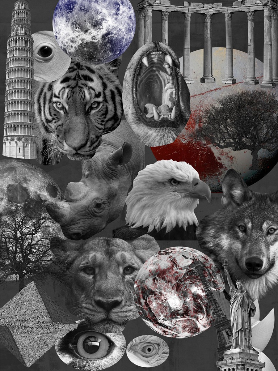 209款做旧粗糙涂鸦艺术单色女性动物纸片线条丙烯酸笔触纹理拼贴画PNG免抠图设计素材 Monochrome Collage Pack 图片素材 sucaiwan.com