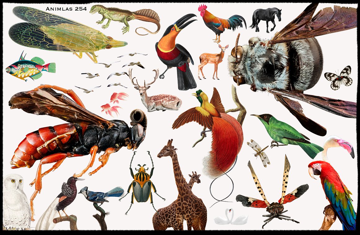 1900+赛博朋克未来机能拼贴艺术人物汽车花卉动物雕像复古涂鸦酸性剪纸纸片PNG图形元素素材 1900+ Ultimate Collage Elements 图片素材 sucaiwan.com