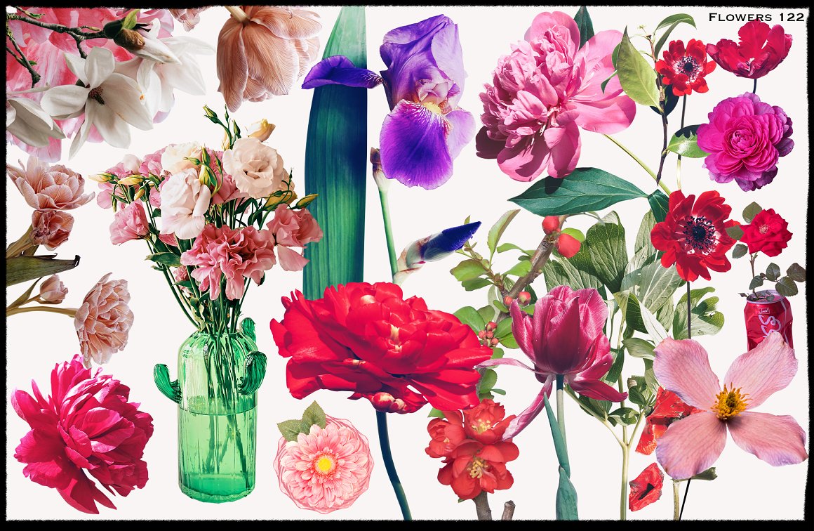 1900+赛博朋克未来机能拼贴艺术人物汽车花卉动物雕像复古涂鸦酸性剪纸纸片PNG图形元素素材 1900+ Ultimate Collage Elements 图片素材 sucaiwan.com