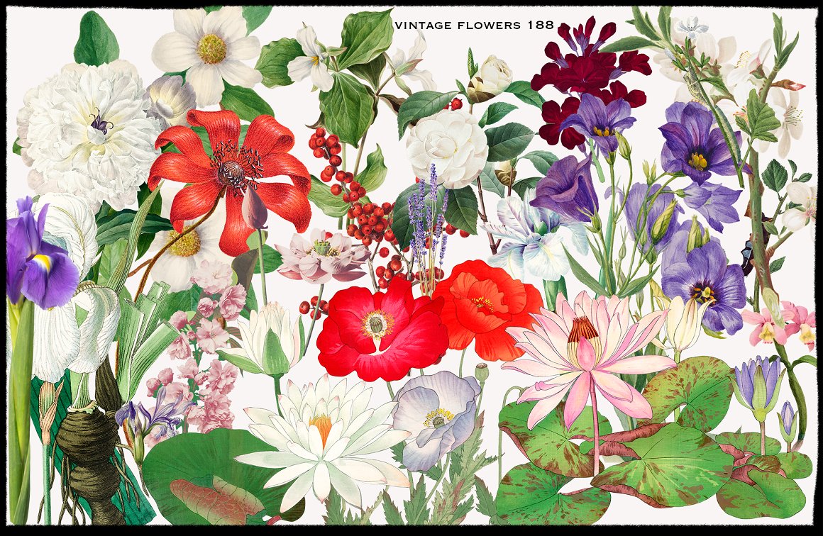 1900+赛博朋克未来机能拼贴艺术人物汽车花卉动物雕像复古涂鸦酸性剪纸纸片PNG图形元素素材 1900+ Ultimate Collage Elements 图片素材 sucaiwan.com