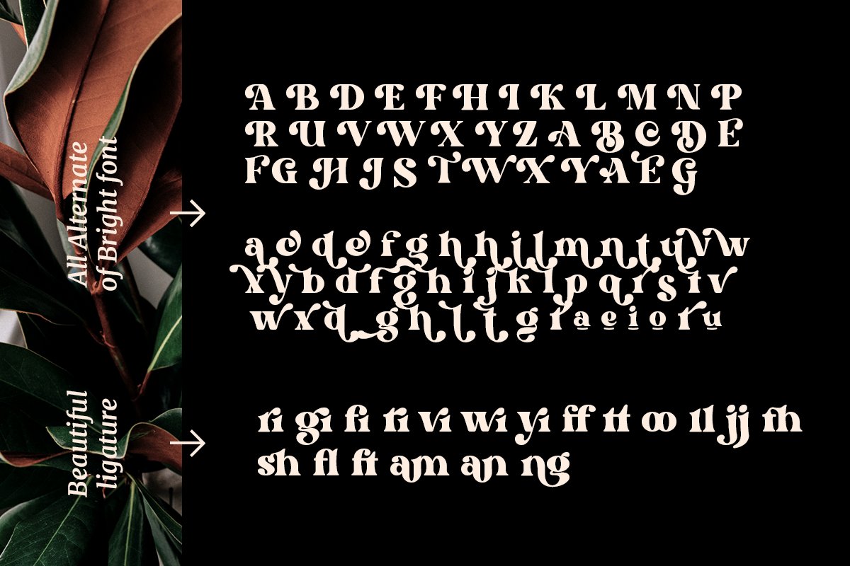 现代复古标题徽标Logo设计衬线英文字体素材 Bright – Dharmas Studio 设计素材 sucaiwan.com