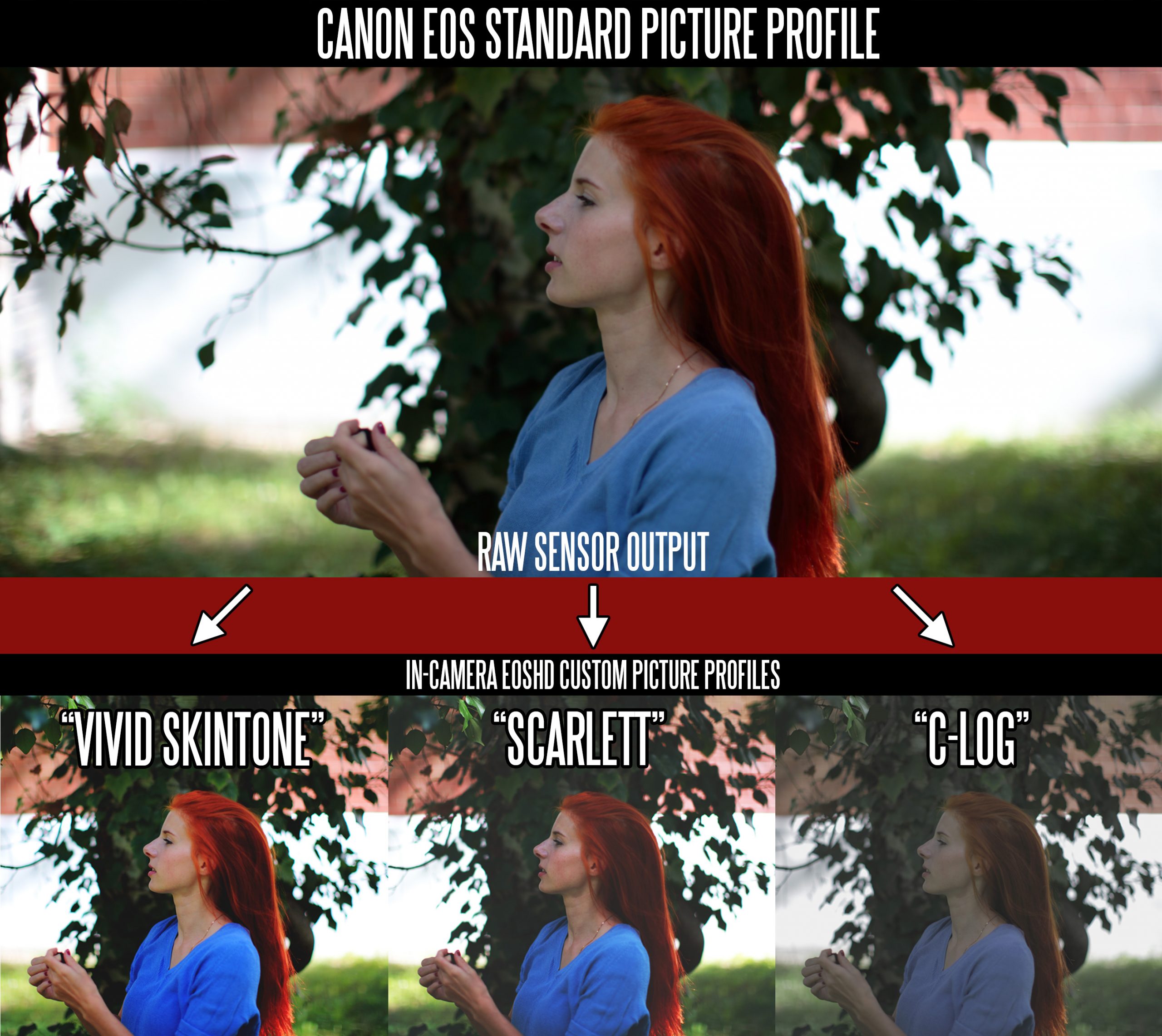 佳能胶片模拟图片PF3格式配置文件和LUT预设 EOSHD C-LOG and Film Profiles for Canon DSLR and mirrorless cameras . sucaiwan.com