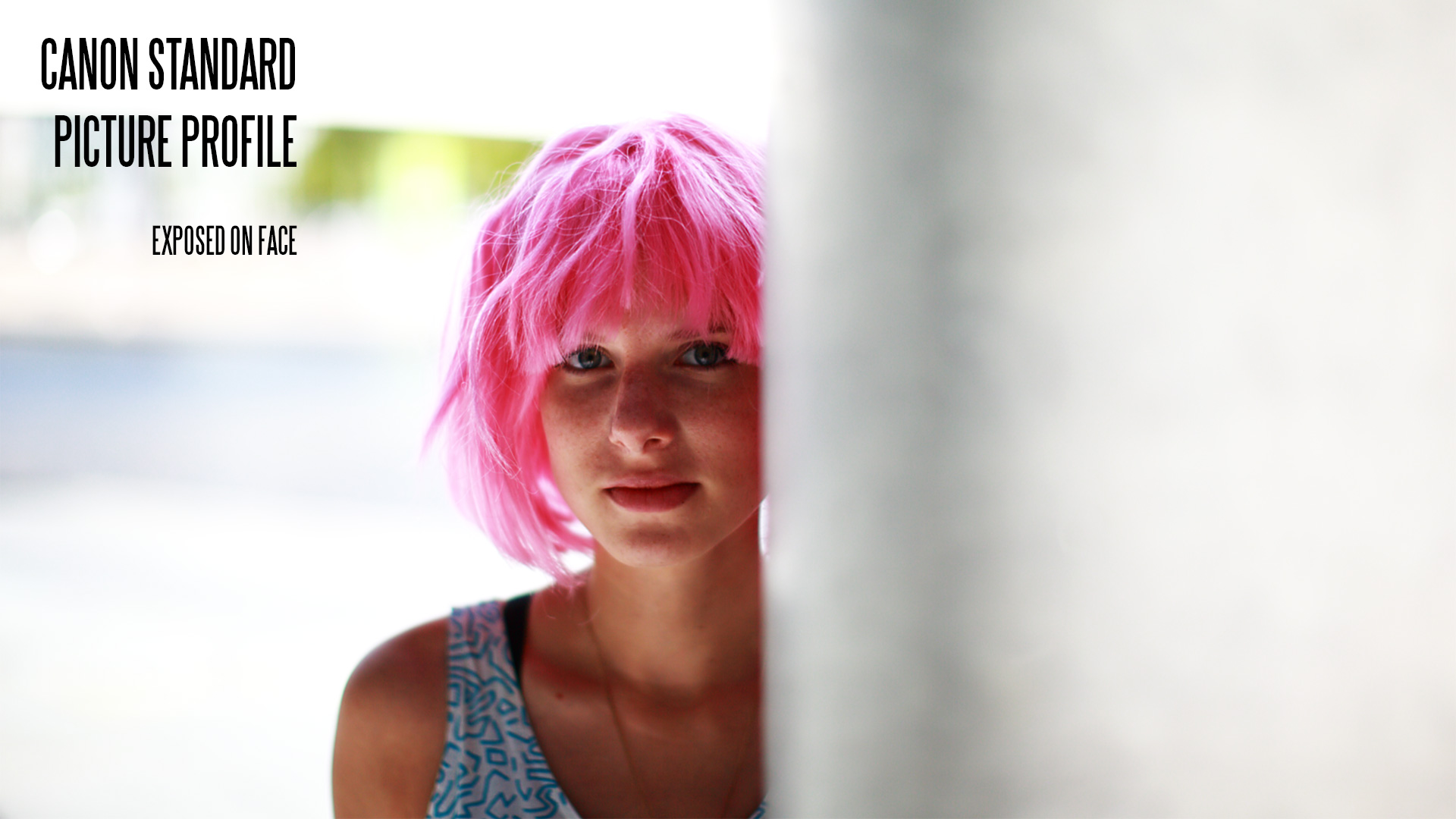 佳能胶片模拟图片PF3格式配置文件和LUT预设 EOSHD C-LOG and Film Profiles for Canon DSLR and mirrorless cameras . sucaiwan.com