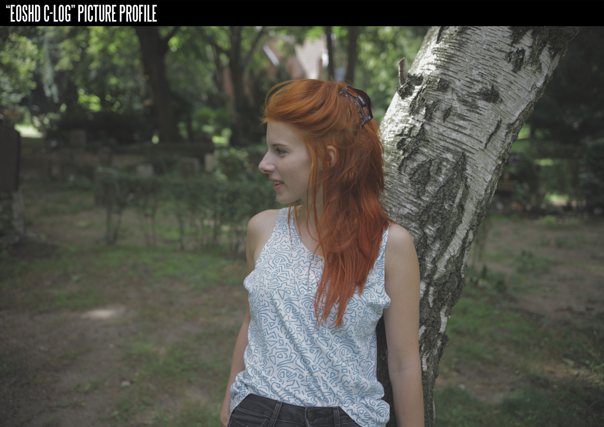 佳能胶片模拟图片PF3格式配置文件和LUT预设 EOSHD C-LOG and Film Profiles for Canon DSLR and mirrorless cameras . sucaiwan.com