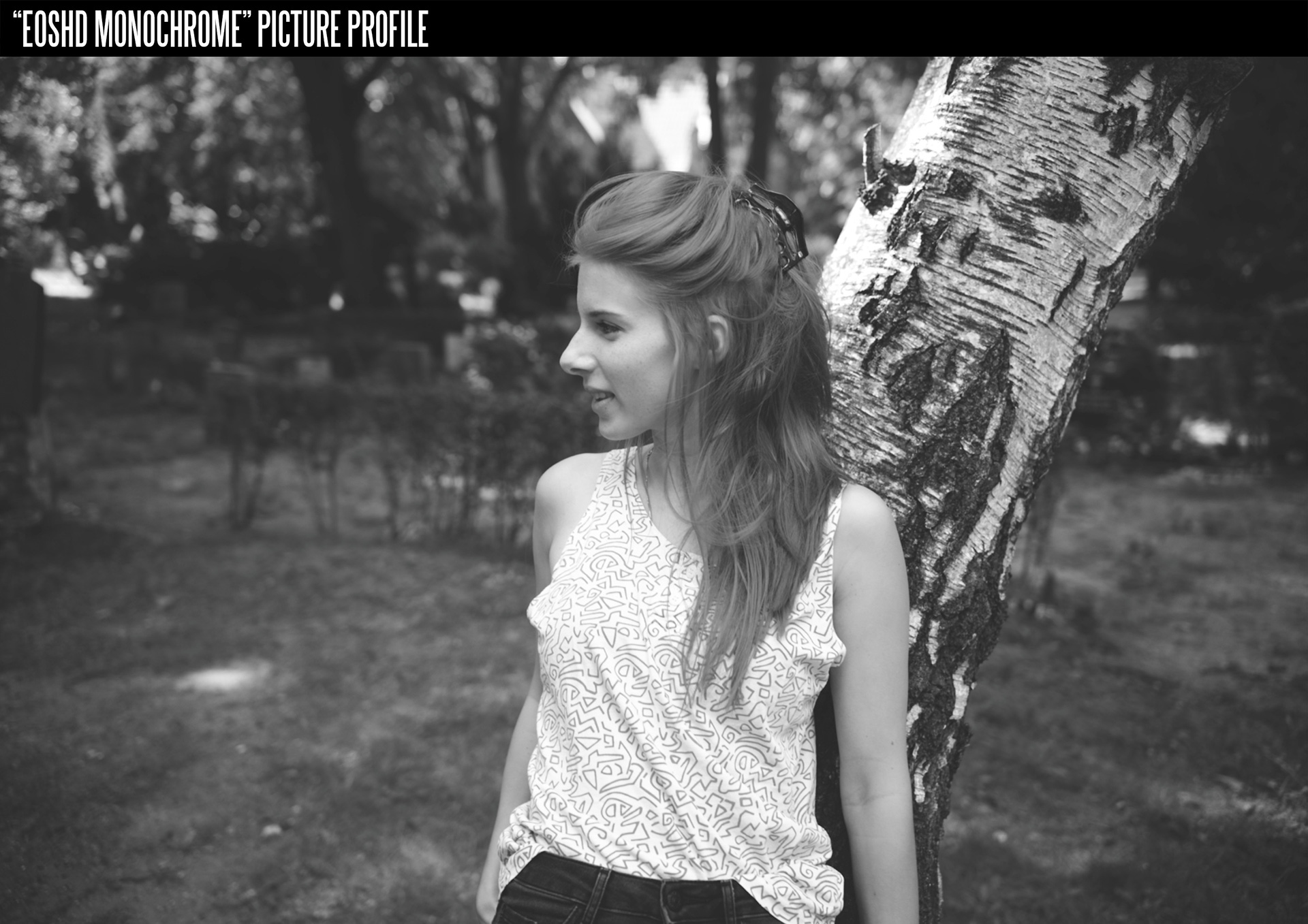 佳能胶片模拟图片PF3格式配置文件和LUT预设 EOSHD C-LOG and Film Profiles for Canon DSLR and mirrorless cameras . sucaiwan.com