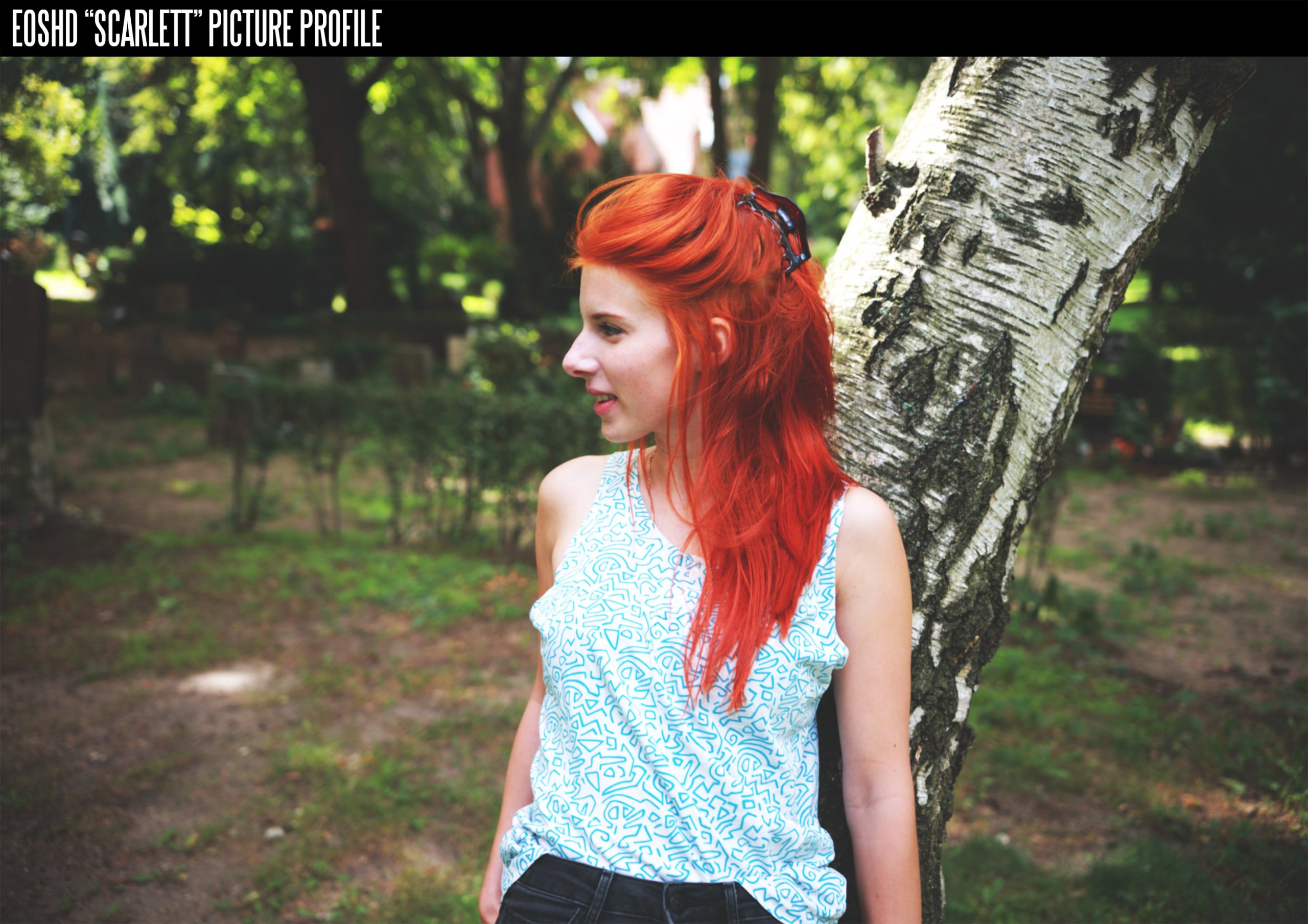 佳能胶片模拟图片PF3格式配置文件和LUT预设 EOSHD C-LOG and Film Profiles for Canon DSLR and mirrorless cameras . sucaiwan.com