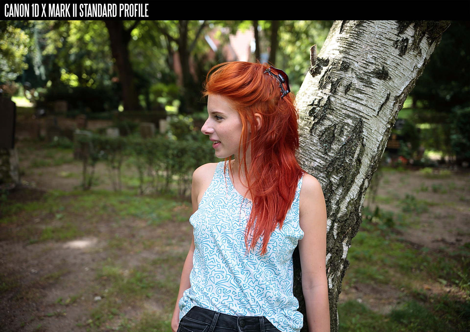 佳能胶片模拟图片PF3格式配置文件和LUT预设 EOSHD C-LOG and Film Profiles for Canon DSLR and mirrorless cameras . sucaiwan.com