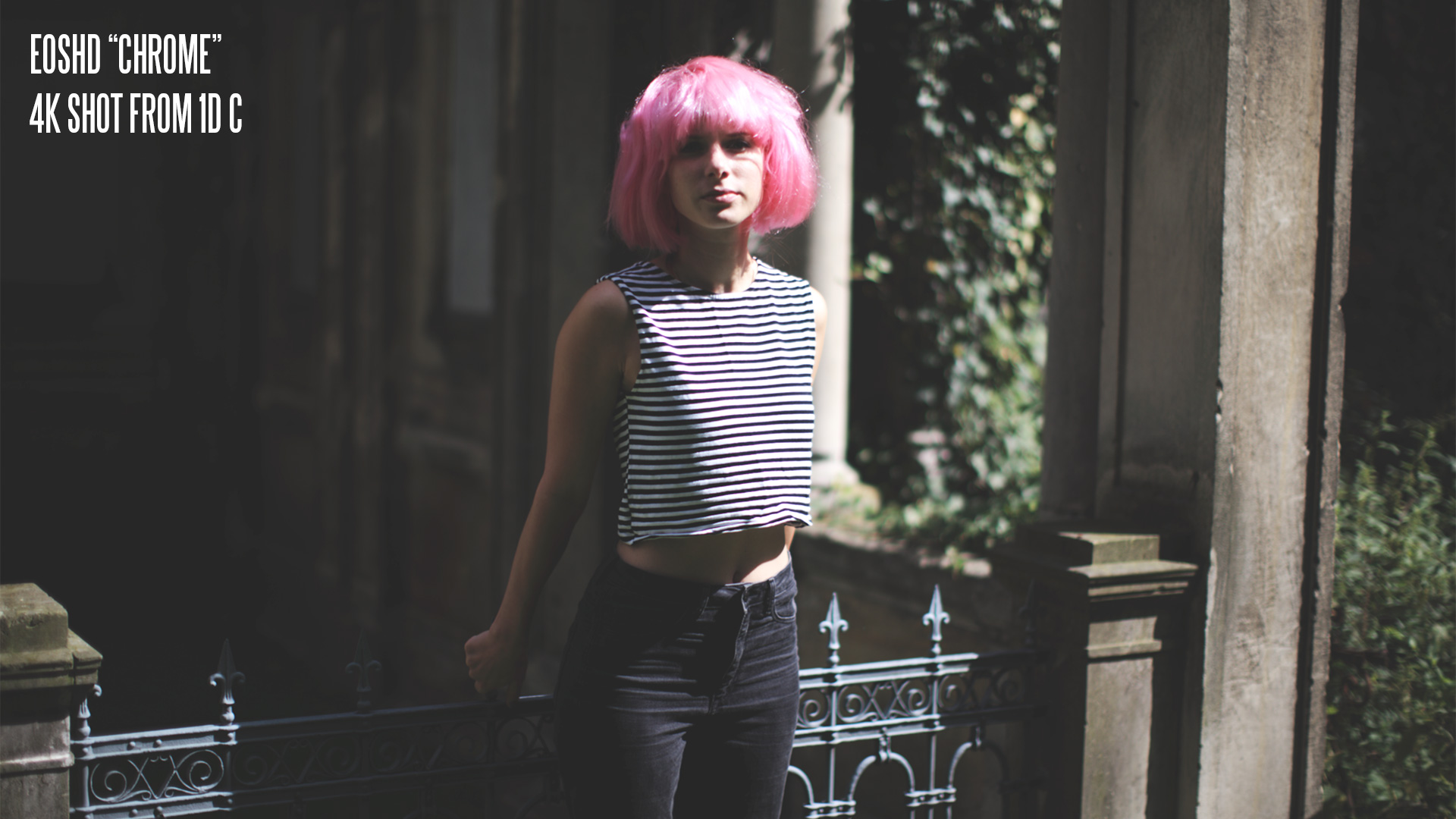 佳能胶片模拟图片PF3格式配置文件和LUT预设 EOSHD C-LOG and Film Profiles for Canon DSLR and mirrorless cameras . sucaiwan.com