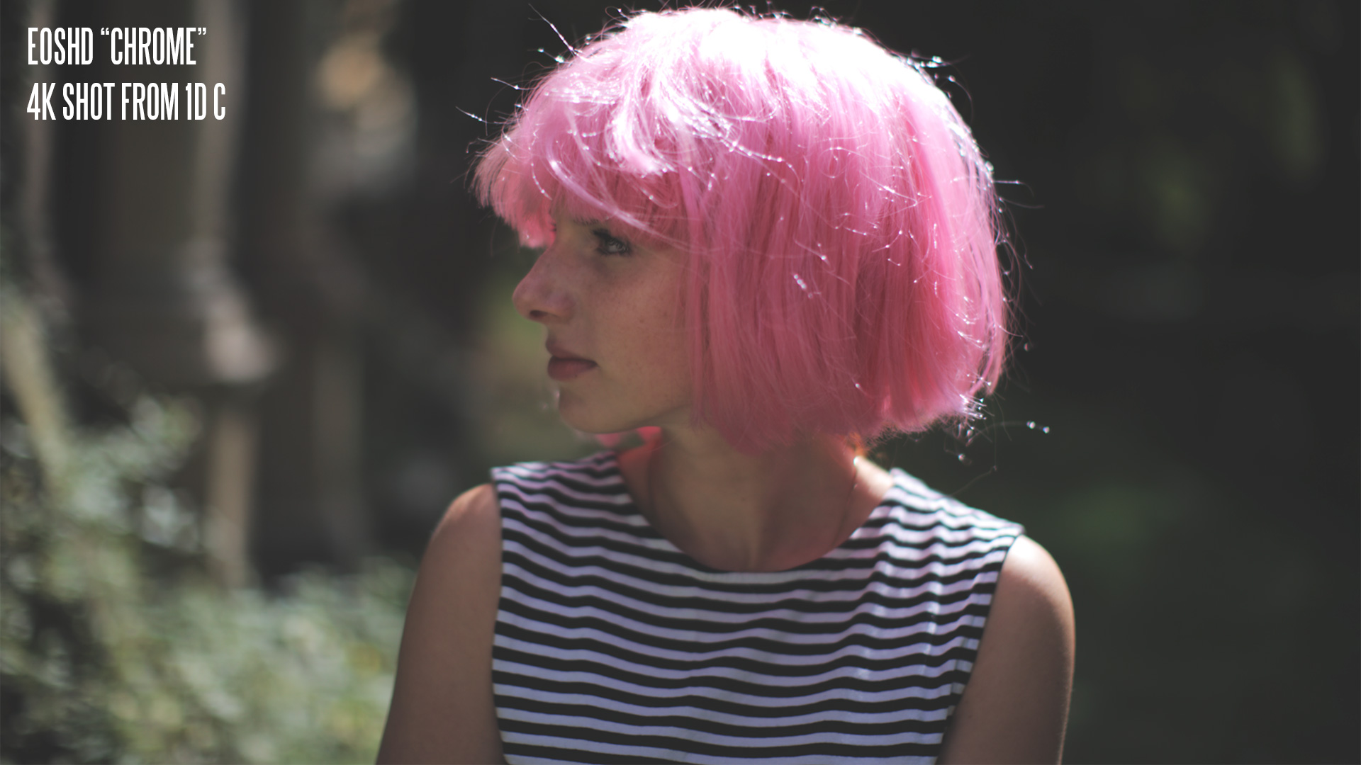 佳能胶片模拟图片PF3格式配置文件和LUT预设 EOSHD C-LOG and Film Profiles for Canon DSLR and mirrorless cameras . sucaiwan.com