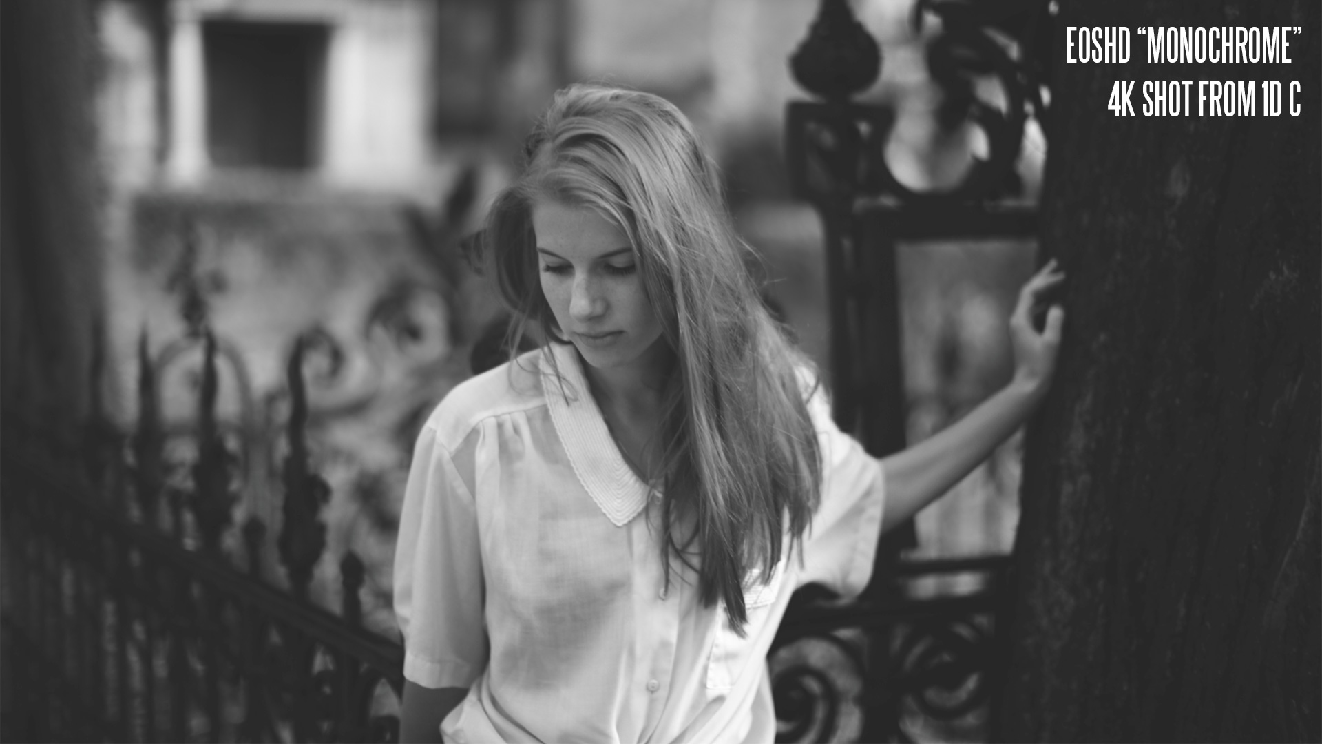 佳能胶片模拟图片PF3格式配置文件和LUT预设 EOSHD C-LOG and Film Profiles for Canon DSLR and mirrorless cameras . sucaiwan.com