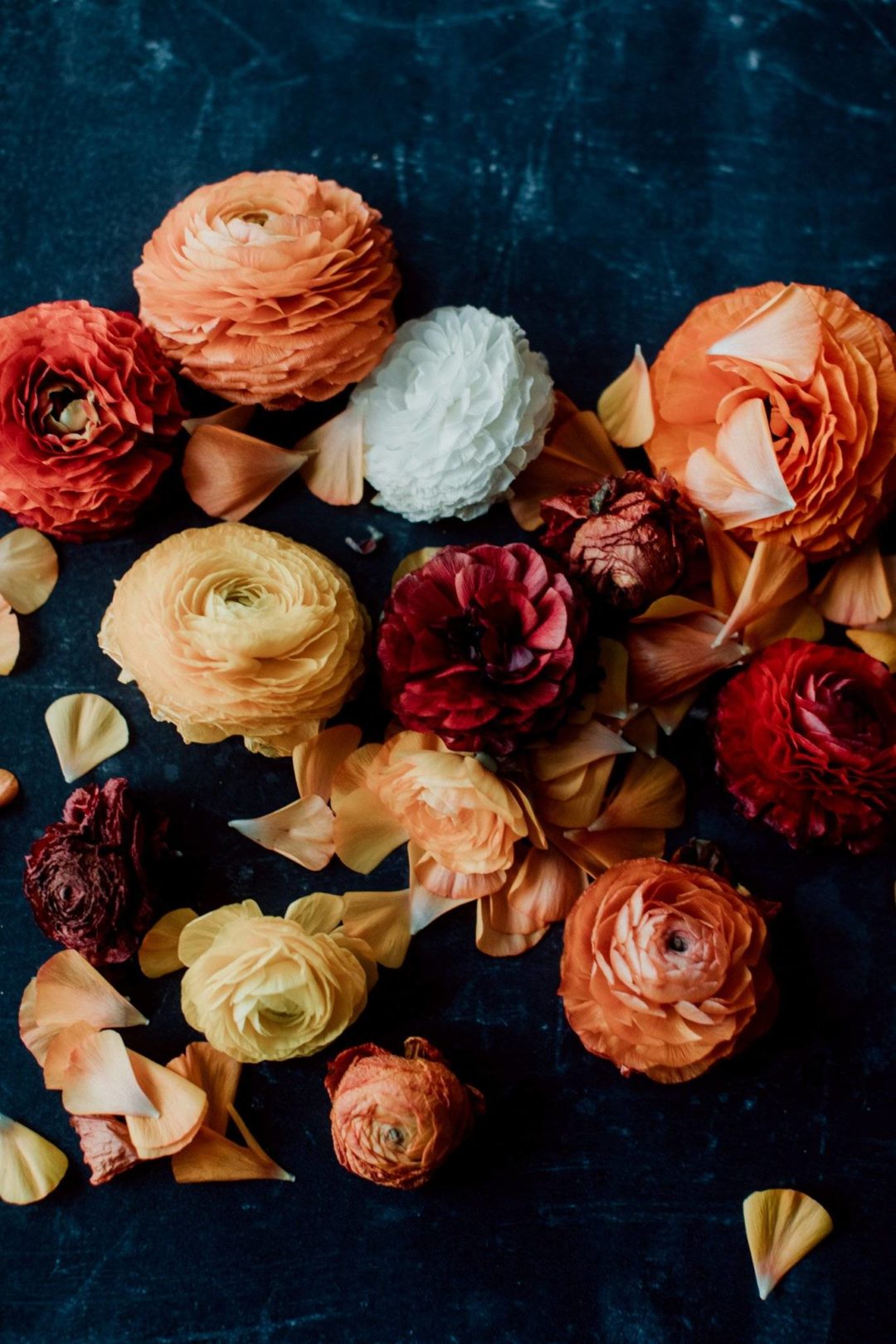 绚丽冰川色调高原雪山场景婚配旅行照片拍摄后期调色Lightroom预设 Archipelago Quest – Quest 22 Glacial 插件预设 第6张-素材湾丨精选海外优质设计素材资源 绚丽冰川色调高原雪山场景婚配旅行照片拍摄后期调色Lightroom预设 Archipelago Quest – Quest 22 Glacial 插件预设 sucaiwan.com