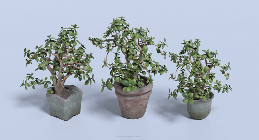 复古海边渔村小镇房屋桥梁木船3D模型UE格式素材 Water Village – BMS Kitbash Set 样机素材 第7张-素材湾丨精选海外优质设计素材资源 复古海边渔村小镇房屋桥梁木船3D模型UE格式素材 Water Village – BMS Kitbash Set 样机素材 sucaiwan.com