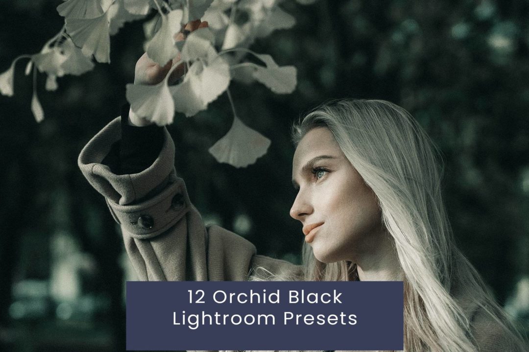 12组时尚复古美学皮肤润饰电影婚礼照片调色Lightroom预设 12 Orchid Black Lightroom Presets 插件预设 第1张-素材湾丨精选海外优质设计素材资源 12组时尚复古美学皮肤润饰电影婚礼照片调色Lightroom预设 12 Orchid Black Lightroom Presets 插件预设 sucaiwan.com