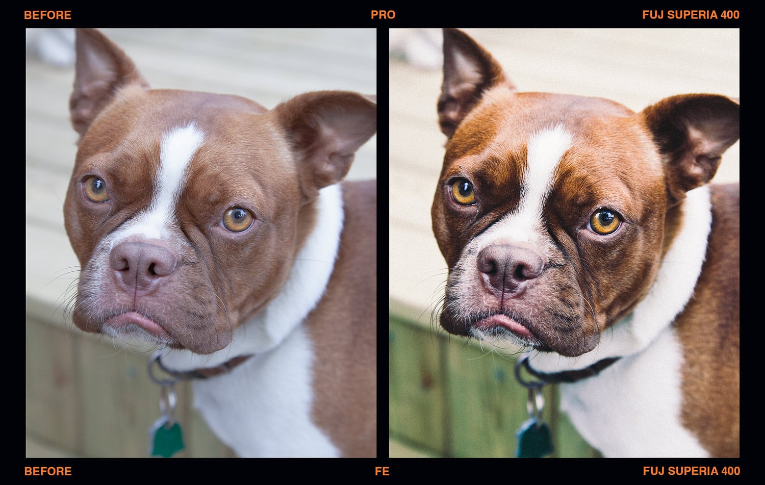Presetpro – FILM Emulation Presets for Lightroom 插件预设 sucaiwan.com