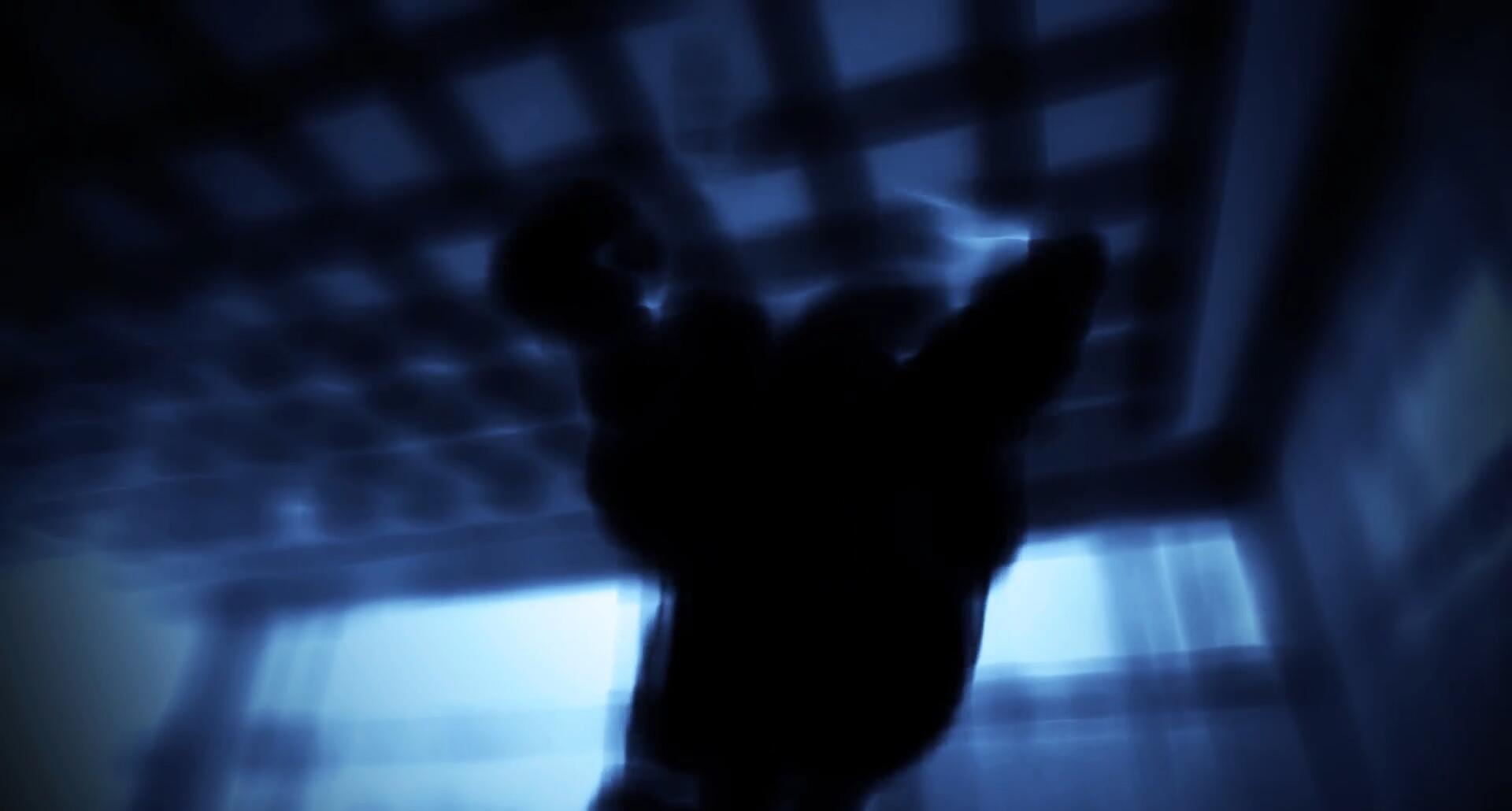 AE模板:复古蹩脚晕染信号失真故障扭曲画面效果模板 WEIRD GLITCH EFFECTS , 第4张-素材湾丨精选海外优质设计素材资源 AE模板:复古蹩脚晕染信号失真故障扭曲画面效果模板 WEIRD GLITCH EFFECTS , sucaiwan.com