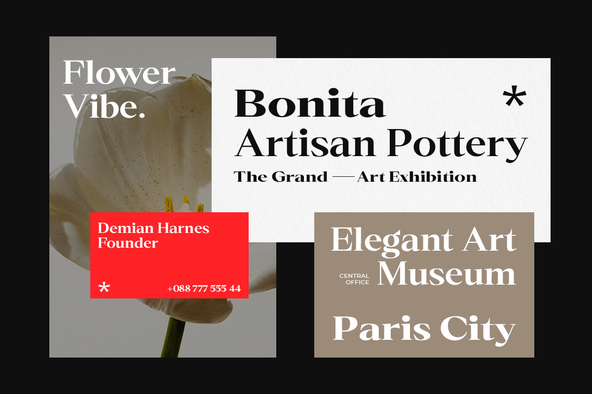 时尚优雅品牌杂志网站徽标设计衬线英文字体安装包 Mentua Serif Family 设计素材 第12张-素材湾丨精选海外优质设计素材资源 时尚优雅品牌杂志网站徽标设计衬线英文字体安装包 Mentua Serif Family 设计素材 sucaiwan.com