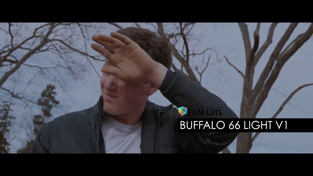 高级好莱坞电影风格视频调色LUTS预设+教程(AE/Pr/FCPX/达芬奇/PS等) Color Grading Central – Motion Picture Film LUTs + Tutorials 插件预设 第7张-素材湾丨精选海外优质设计素材资源 高级好莱坞电影风格视频调色LUTS预设+教程(AE/Pr/FCPX/达芬奇/PS等) Color Grading Central – Motion Picture Film LUTs + Tutorials 插件预设 sucaiwan.com