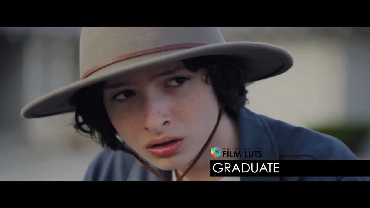 高级好莱坞电影风格视频调色LUTS预设+教程(AE/Pr/FCPX/达芬奇/PS等) Color Grading Central – Motion Picture Film LUTs + Tutorials 插件预设 第9张-素材湾丨精选海外优质设计素材资源 高级好莱坞电影风格视频调色LUTS预设+教程(AE/Pr/FCPX/达芬奇/PS等) Color Grading Central – Motion Picture Film LUTs + Tutorials 插件预设 sucaiwan.com