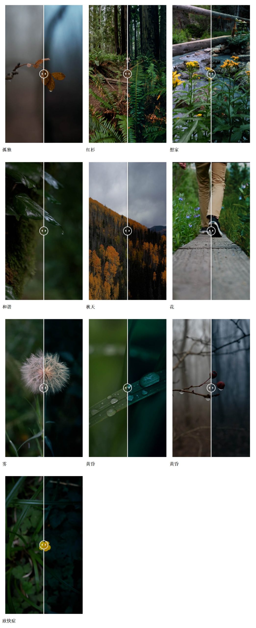 Twilight LUT Pack 暮光之城黄昏薄雾红杉孤独风景旅拍LUT调色预设包 插件预设 第2张-素材湾丨精选海外优质设计素材资源 Twilight LUT Pack 暮光之城黄昏薄雾红杉孤独风景旅拍LUT调色预设包 插件预设 sucaiwan.com