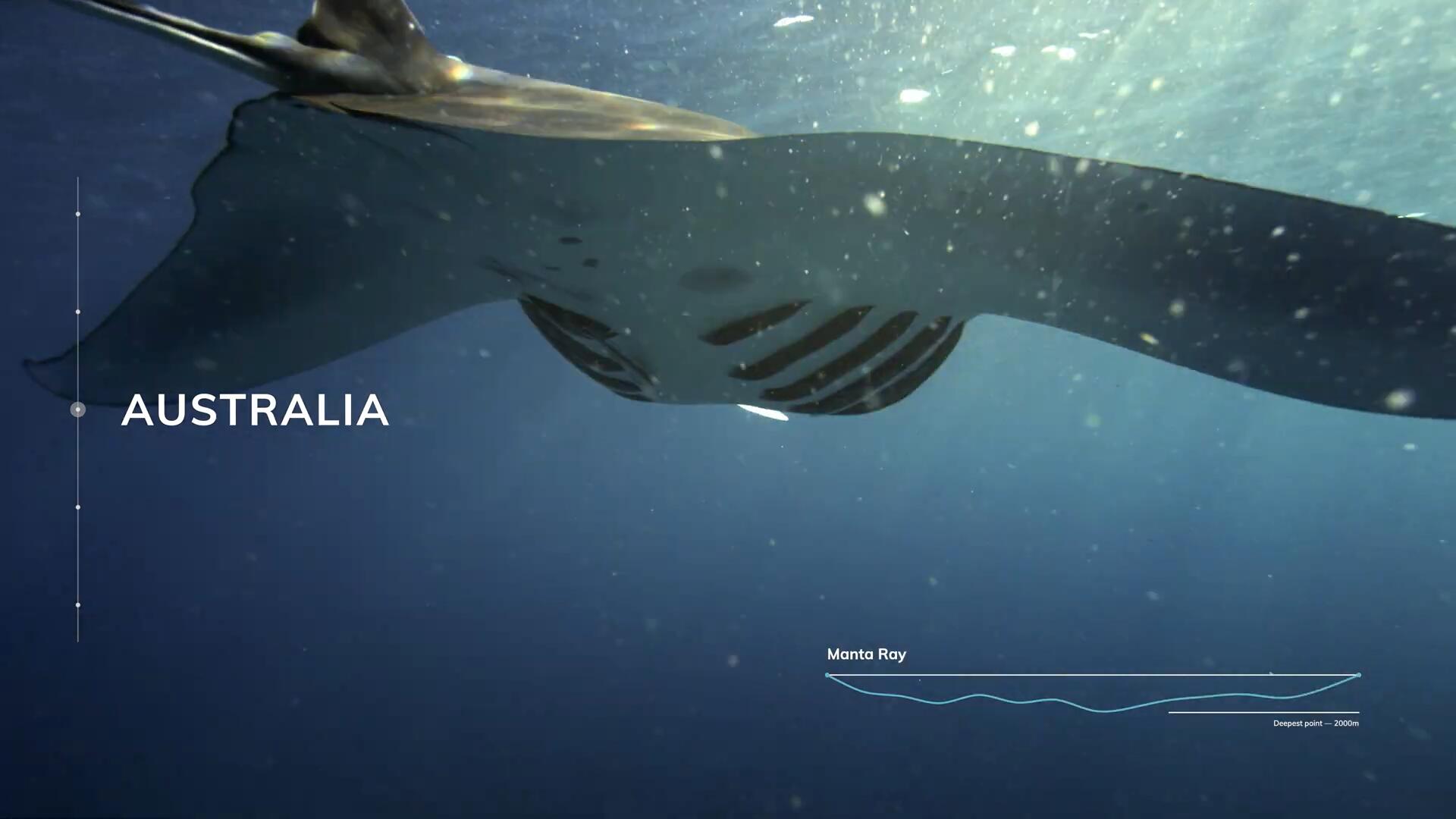 MotionVFX mJourney 88种旅游主题VLOG博主终极旅行视频线路文字标题排版转场编辑工具包FCPX插件 插件预设 sucaiwan.com