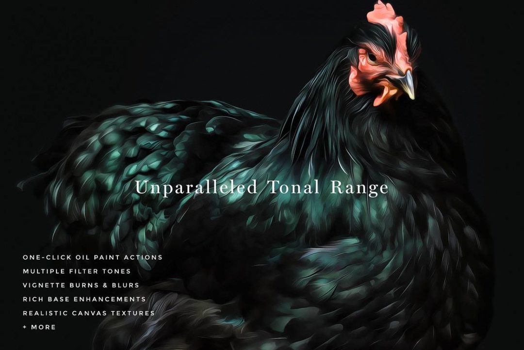 逼真文艺复兴油画画布纹理照片效果PS动作修图滤镜插件设计素材 RENAISSANCE – Oil Painting Actions 插件预设 sucaiwan.com