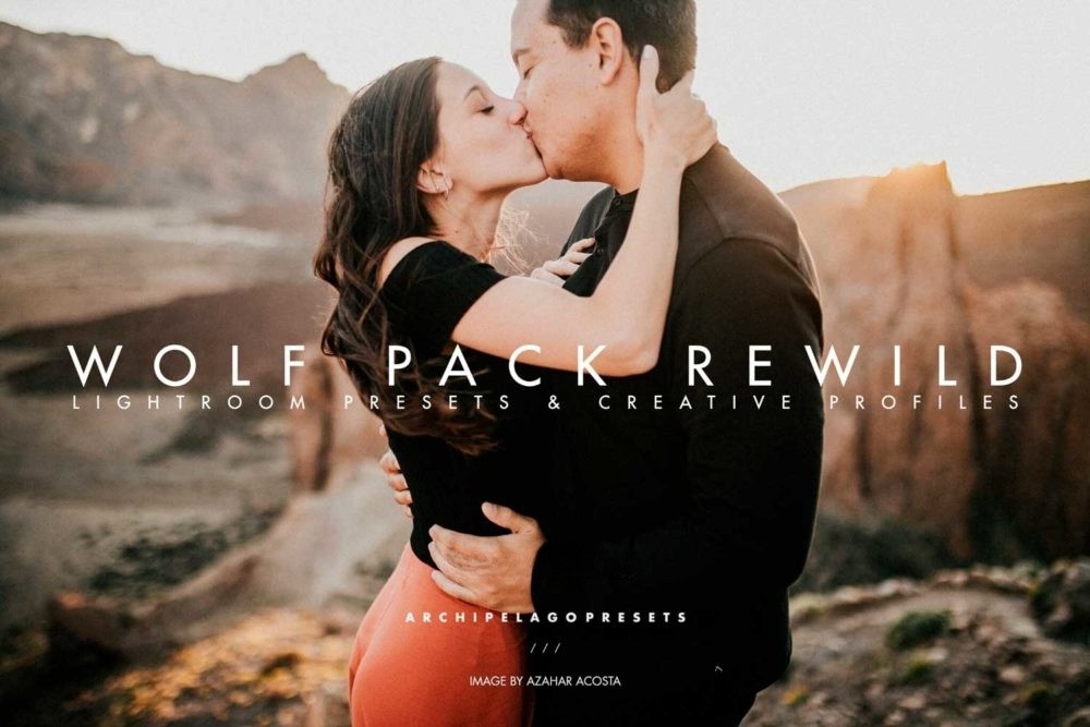 永恒经典绿色色调电影胶片颗粒纹理模拟情侣人物摄影照片调色Lightroom预设 Archipelago – Wolf Pack ReWild 插件预设 第1张-素材湾丨精选海外优质设计素材资源 永恒经典绿色色调电影胶片颗粒纹理模拟情侣人物摄影照片调色Lightroom预设 Archipelago – Wolf Pack ReWild 插件预设 sucaiwan.com