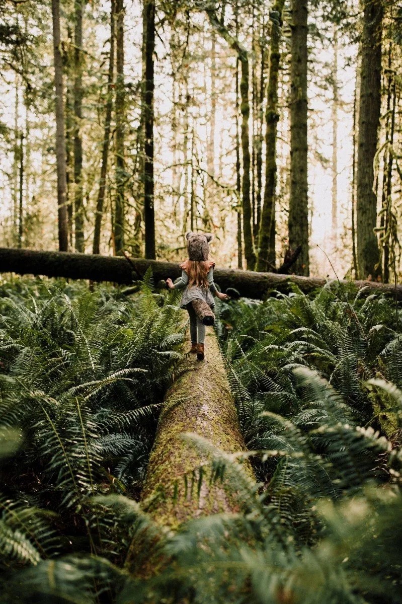 永恒经典绿色色调电影胶片颗粒纹理模拟情侣人物摄影照片调色Lightroom预设 Archipelago – Wolf Pack ReWild 插件预设 第7张-素材湾丨精选海外优质设计素材资源 永恒经典绿色色调电影胶片颗粒纹理模拟情侣人物摄影照片调色Lightroom预设 Archipelago – Wolf Pack ReWild 插件预设 sucaiwan.com