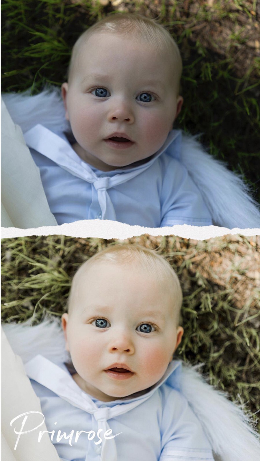 Tristan Duplichain – LIGHTROOM DESKTOP Primrose Preset Pack (6 Presets) 插件预设 sucaiwan.com