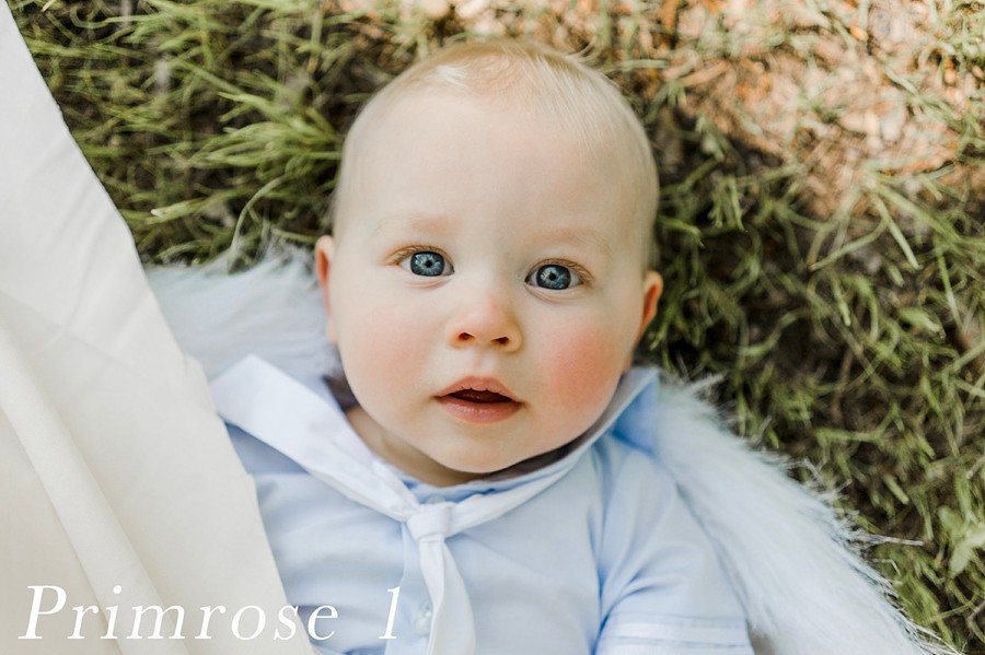 Tristan Duplichain – LIGHTROOM DESKTOP Primrose Preset Pack (6 Presets) 插件预设 sucaiwan.com