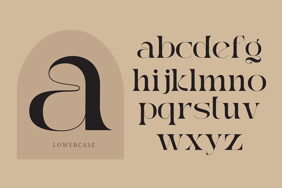 时尚复古美学品牌广告标志设计衬线英文字体安装包 Reaga Vintage – Branding Logo Font 设计素材 sucaiwan.com