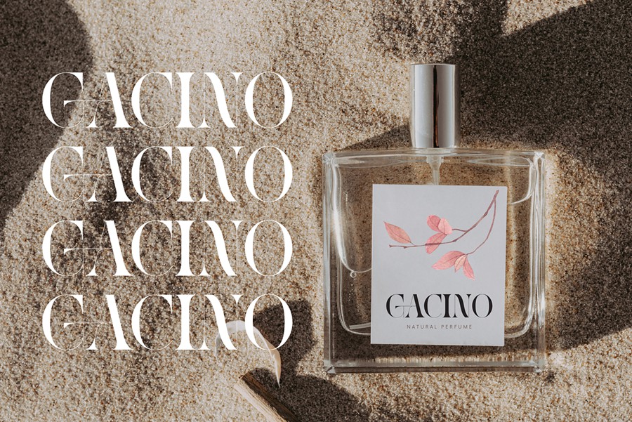 时尚复古美学品牌广告标志设计衬线英文字体安装包 Reaga Vintage – Branding Logo Font 设计素材 sucaiwan.com