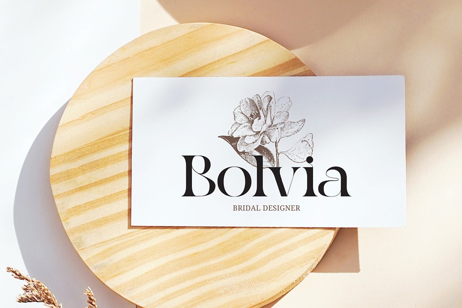 时尚复古美学品牌广告标志设计衬线英文字体安装包 Reaga Vintage – Branding Logo Font 设计素材 sucaiwan.com