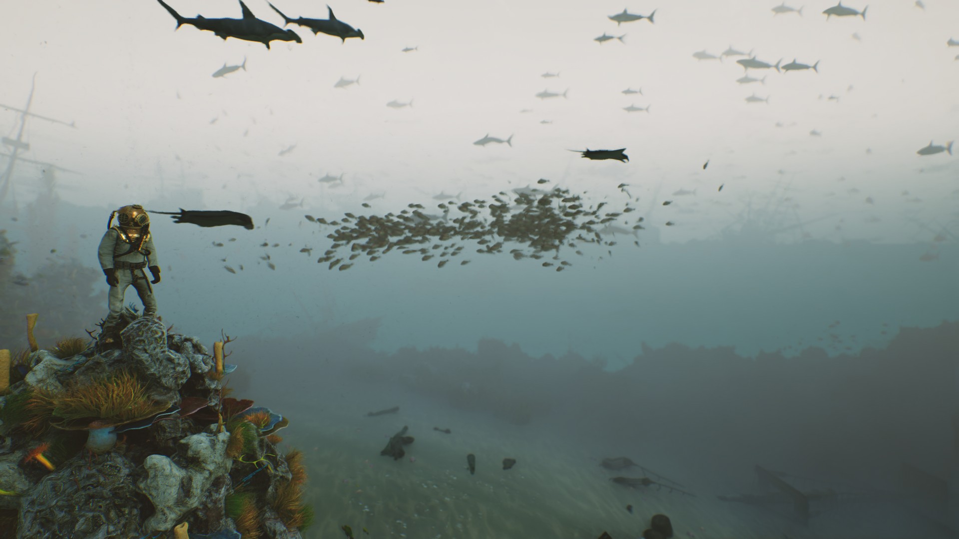 海底植物石头鱼类潜水员沉船场景3D模型UE设计素材 Bay Submerged Ships 样机素材 第2张-素材湾丨精选海外优质设计素材资源 海底植物石头鱼类潜水员沉船场景3D模型UE设计素材 Bay Submerged Ships 样机素材 sucaiwan.com