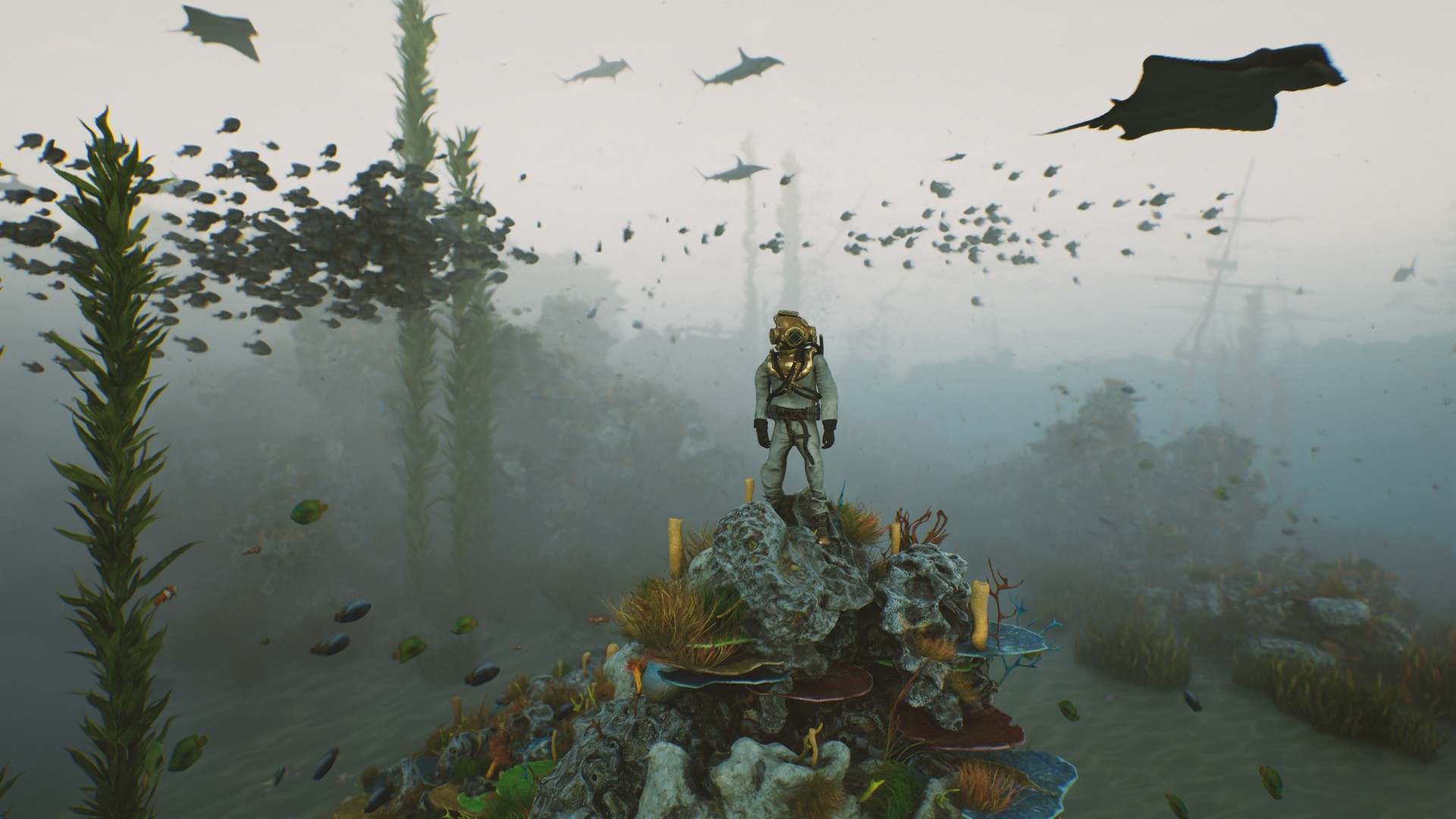 海底植物石头鱼类潜水员沉船场景3D模型UE设计素材 Bay Submerged Ships 样机素材 第3张-素材湾丨精选海外优质设计素材资源 海底植物石头鱼类潜水员沉船场景3D模型UE设计素材 Bay Submerged Ships 样机素材 sucaiwan.com