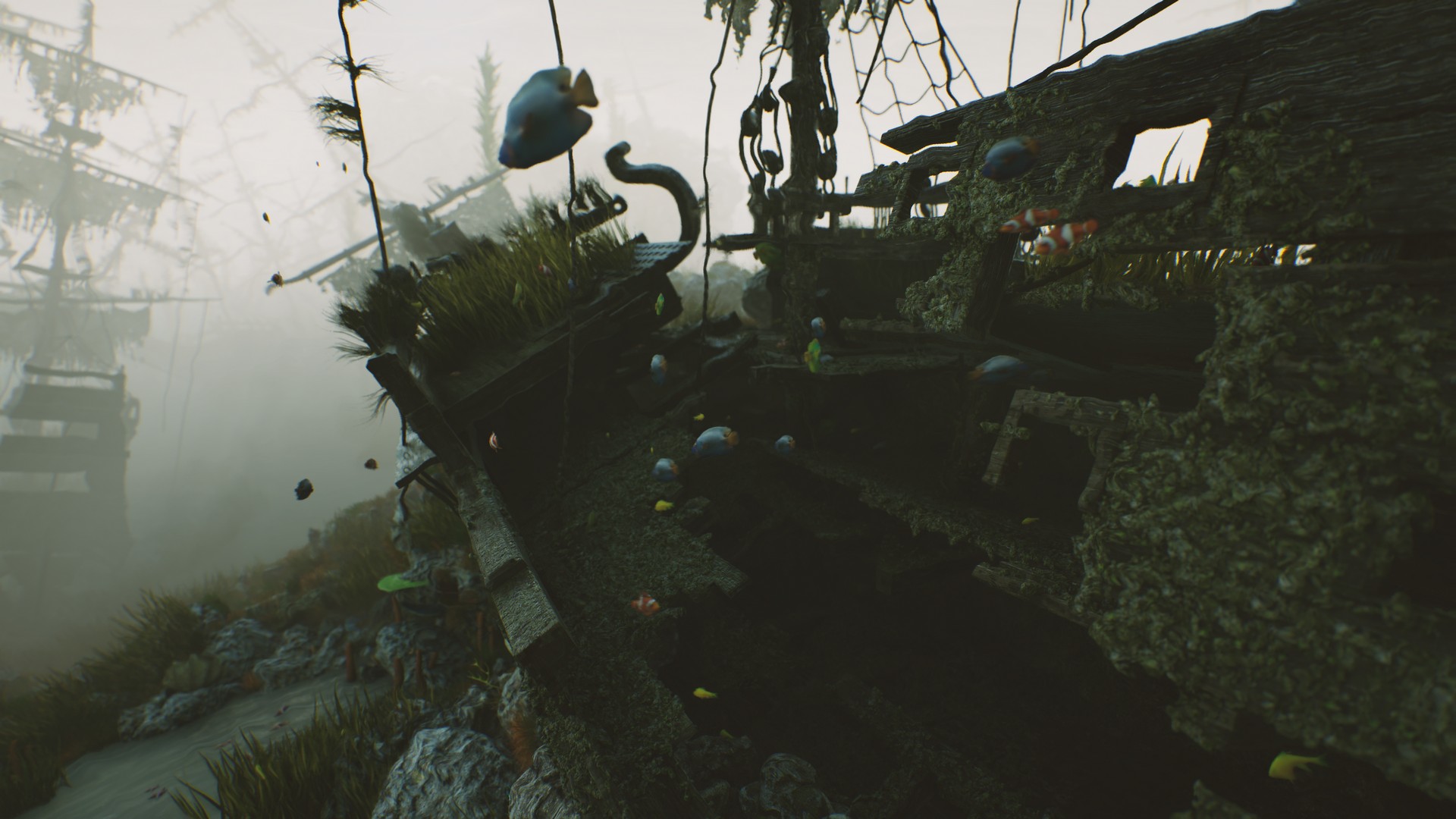 海底植物石头鱼类潜水员沉船场景3D模型UE设计素材 Bay Submerged Ships 样机素材 第8张-素材湾丨精选海外优质设计素材资源 海底植物石头鱼类潜水员沉船场景3D模型UE设计素材 Bay Submerged Ships 样机素材 sucaiwan.com