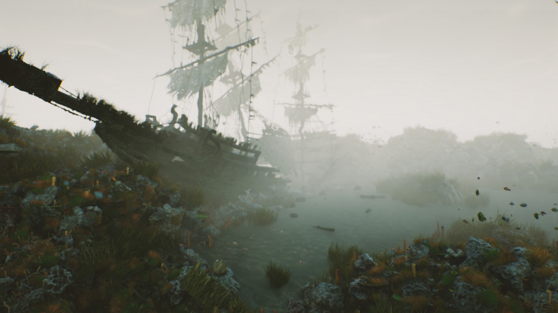 海底植物石头鱼类潜水员沉船场景3D模型UE设计素材 Bay Submerged Ships 样机素材 第9张-素材湾丨精选海外优质设计素材资源 海底植物石头鱼类潜水员沉船场景3D模型UE设计素材 Bay Submerged Ships 样机素材 sucaiwan.com