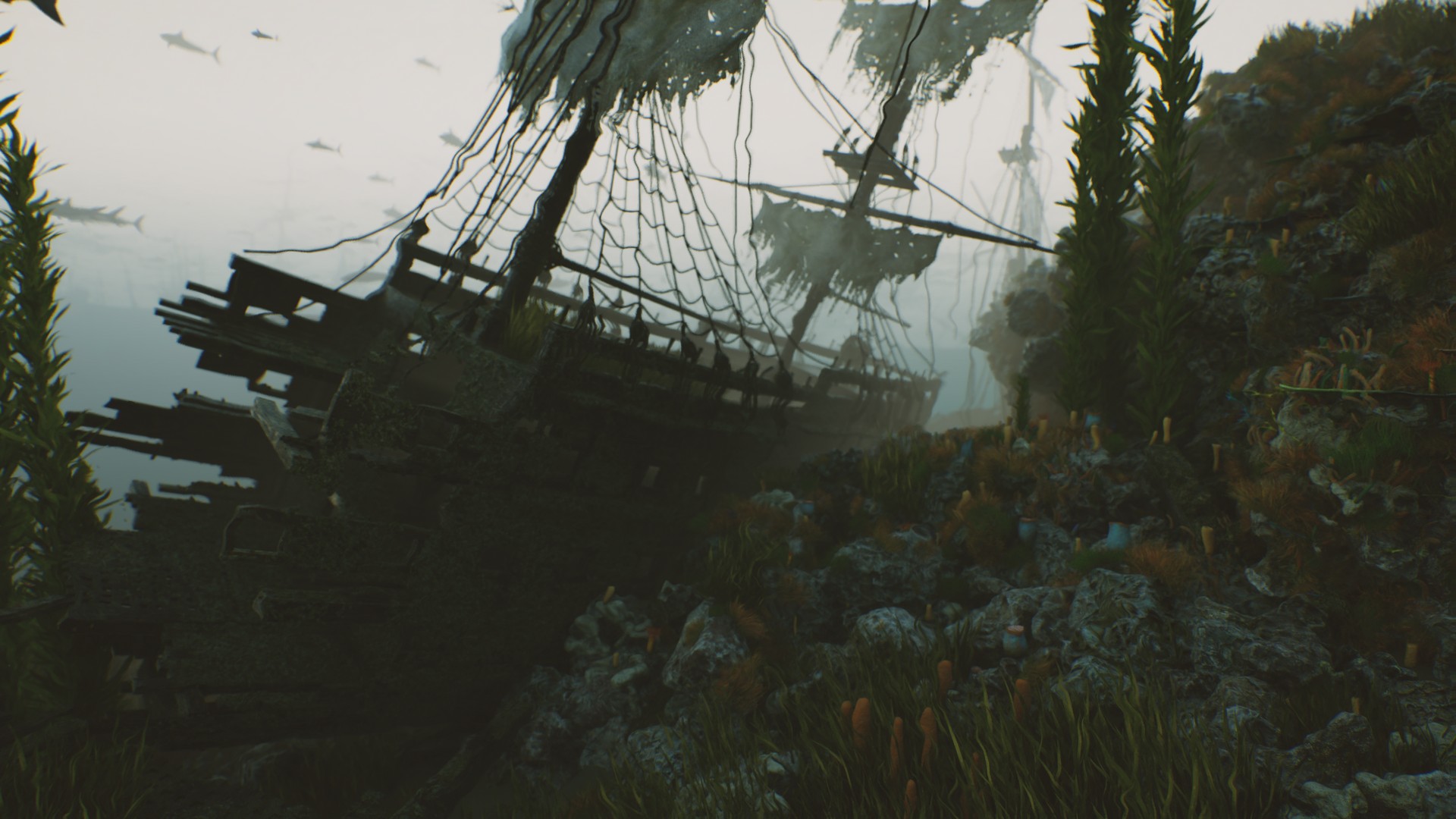 海底植物石头鱼类潜水员沉船场景3D模型UE设计素材 Bay Submerged Ships 样机素材 第10张-素材湾丨精选海外优质设计素材资源 海底植物石头鱼类潜水员沉船场景3D模型UE设计素材 Bay Submerged Ships 样机素材 sucaiwan.com