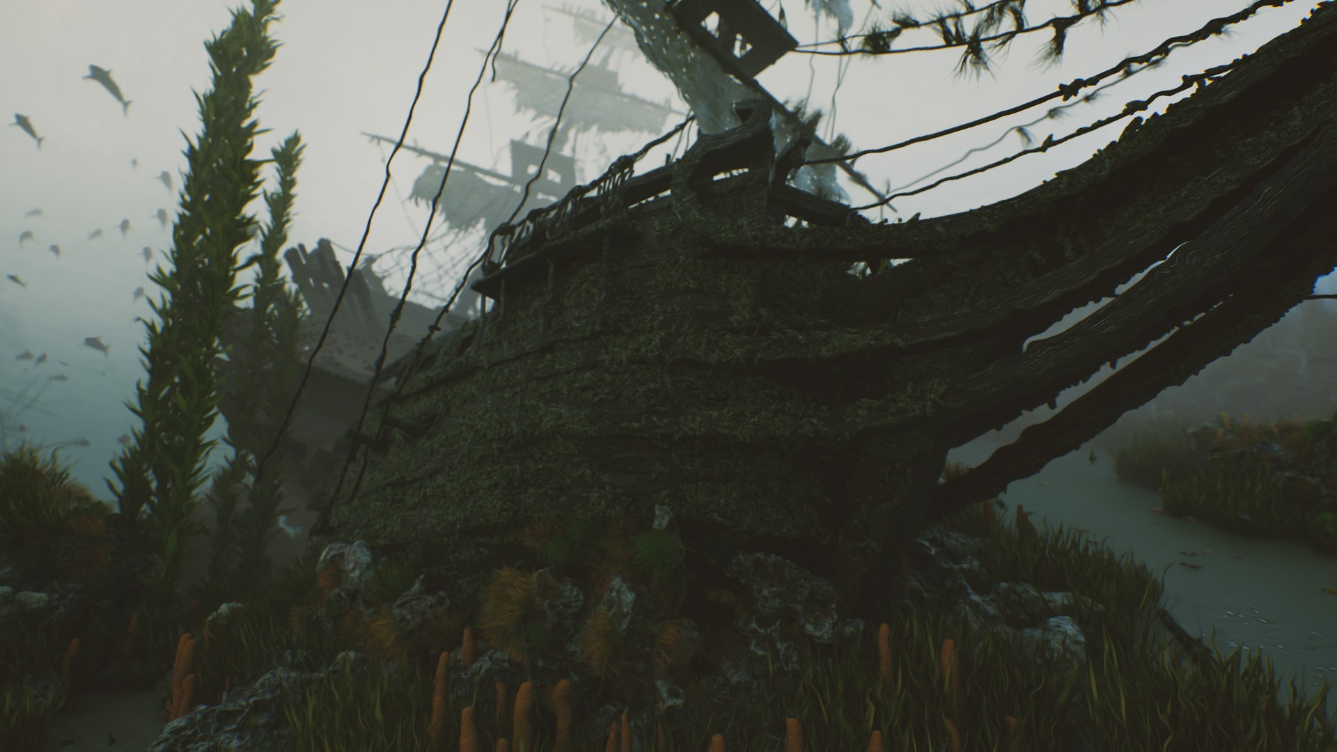 海底植物石头鱼类潜水员沉船场景3D模型UE设计素材 Bay Submerged Ships 样机素材 第11张-素材湾丨精选海外优质设计素材资源 海底植物石头鱼类潜水员沉船场景3D模型UE设计素材 Bay Submerged Ships 样机素材 sucaiwan.com