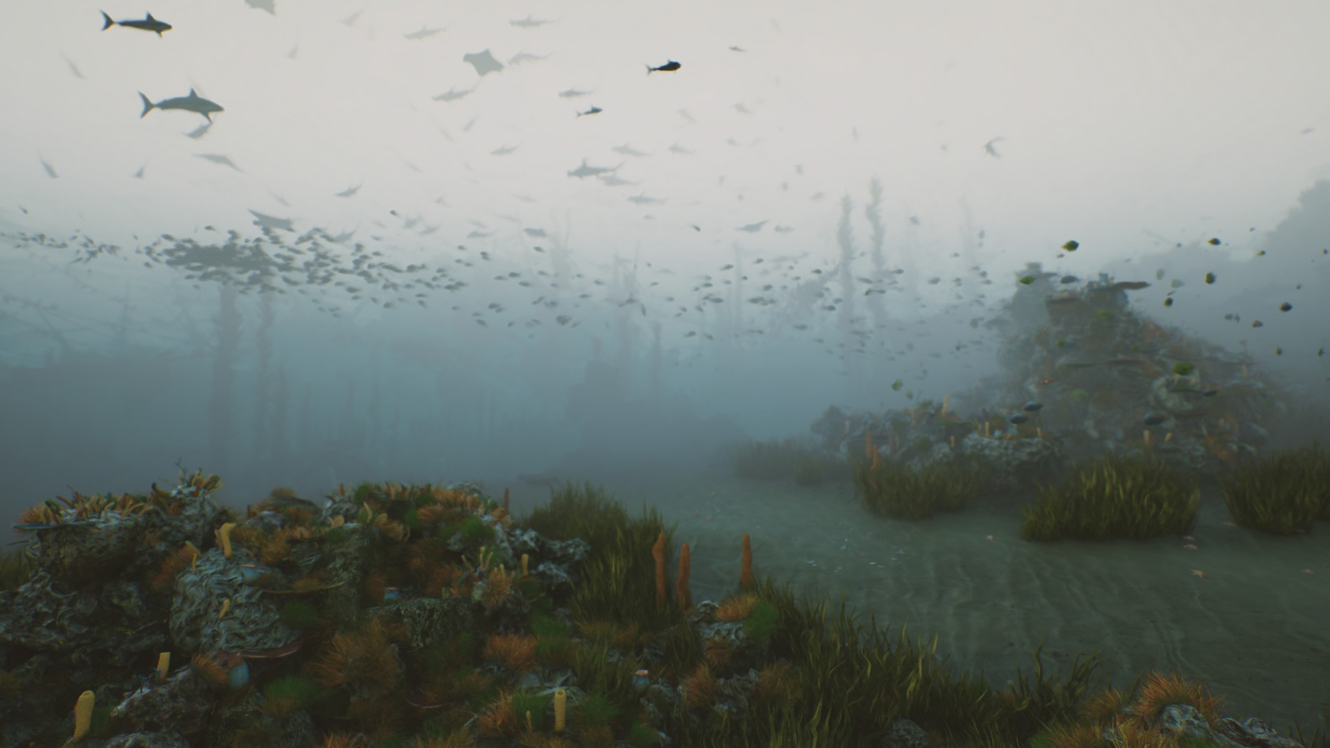 海底植物石头鱼类潜水员沉船场景3D模型UE设计素材 Bay Submerged Ships 样机素材 第12张-素材湾丨精选海外优质设计素材资源 海底植物石头鱼类潜水员沉船场景3D模型UE设计素材 Bay Submerged Ships 样机素材 sucaiwan.com